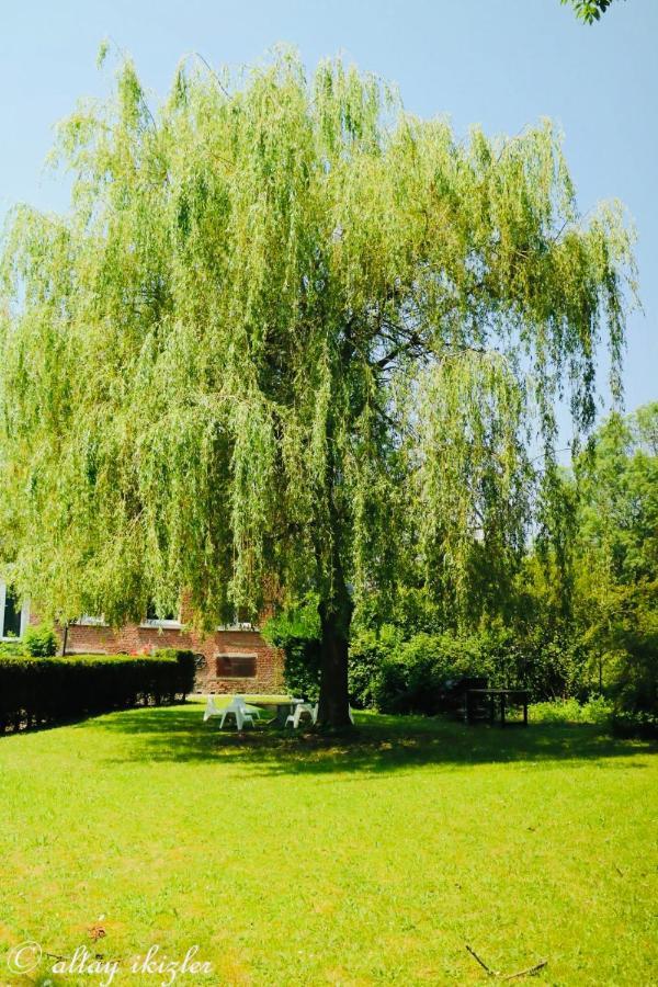 L'Eveil Bed & Breakfast La Louvière Екстериор снимка